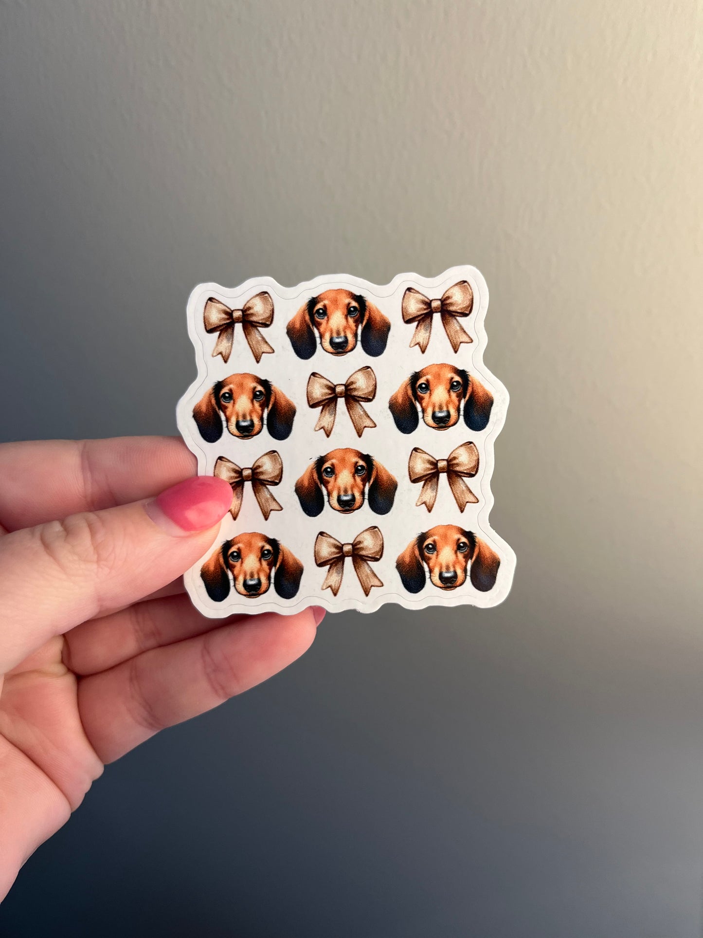 Dachshund & Bows Sticker