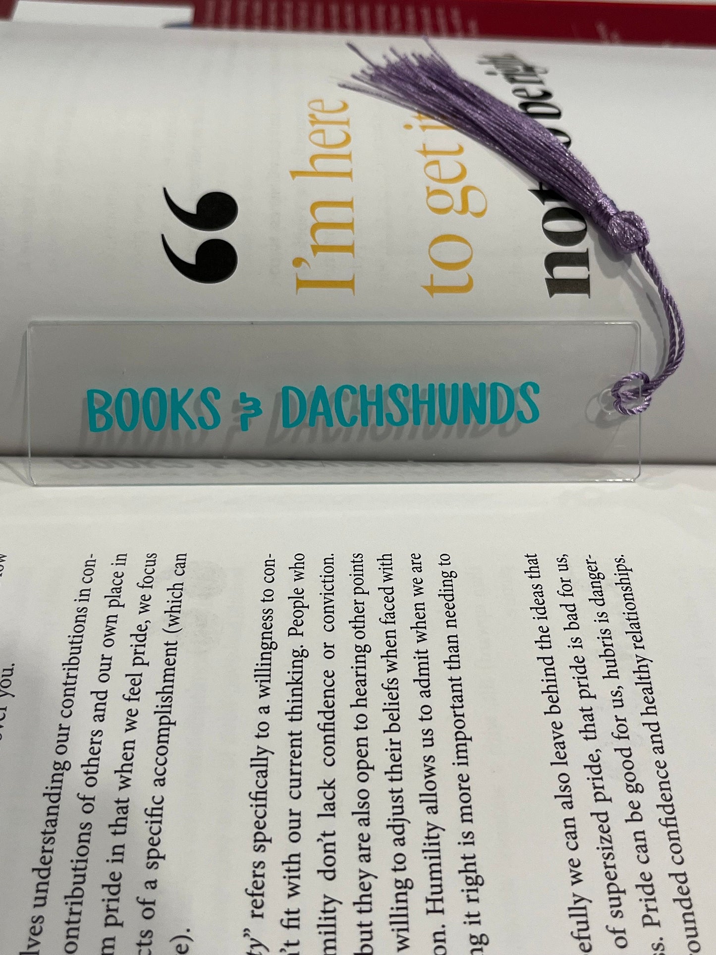 Dachshund Acrylic Bookmark